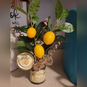 Lemon Fruit Tree Arrangement
